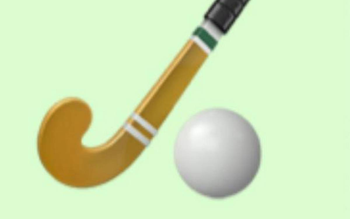 New political party Punjab Lok Congress alloted hockey stick, ball as election symbol 