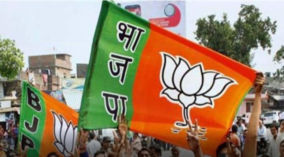 bjpleadinginall7loksabhaseatsindelhi