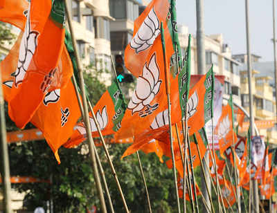 bjpannouncescandidatesforandhrapradesh