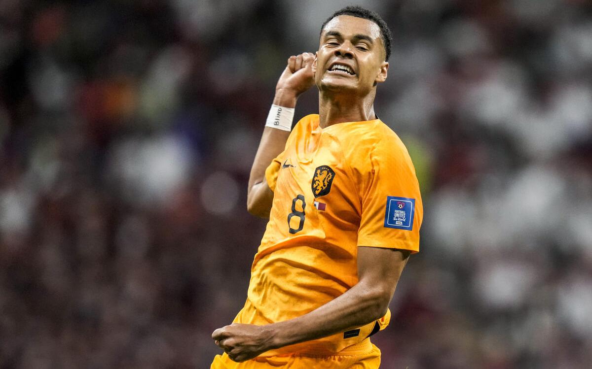 netherlandsandsenegalhavequalifiedfortheroundof16stageinfifaworldcup