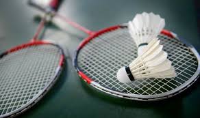 India register best-ever performance, winning 27 medals in Asian Para-Badminton Championship