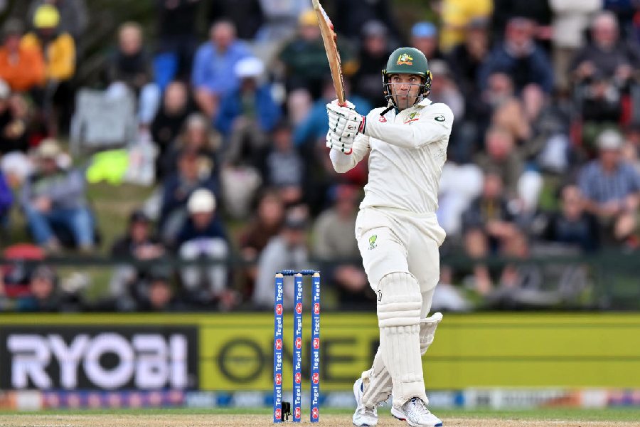 Carey, Cummins shine as Australia edges ahead in Lord’s thriller