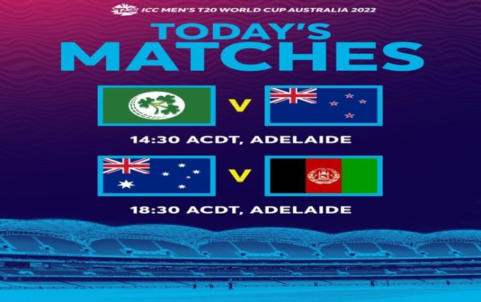 newzealandtotakeonirelandaustraliatolockhornswithafghanistanint20worldcuptoday