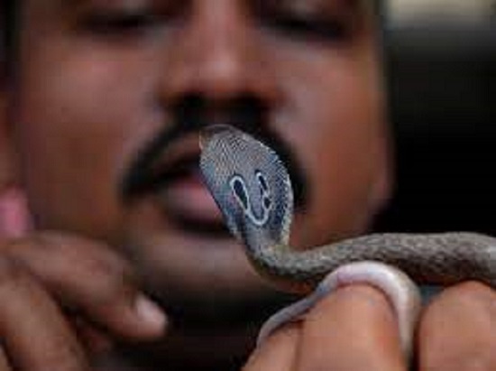 In UP man takes snake to hospital too after it bites wife, tells doctors 