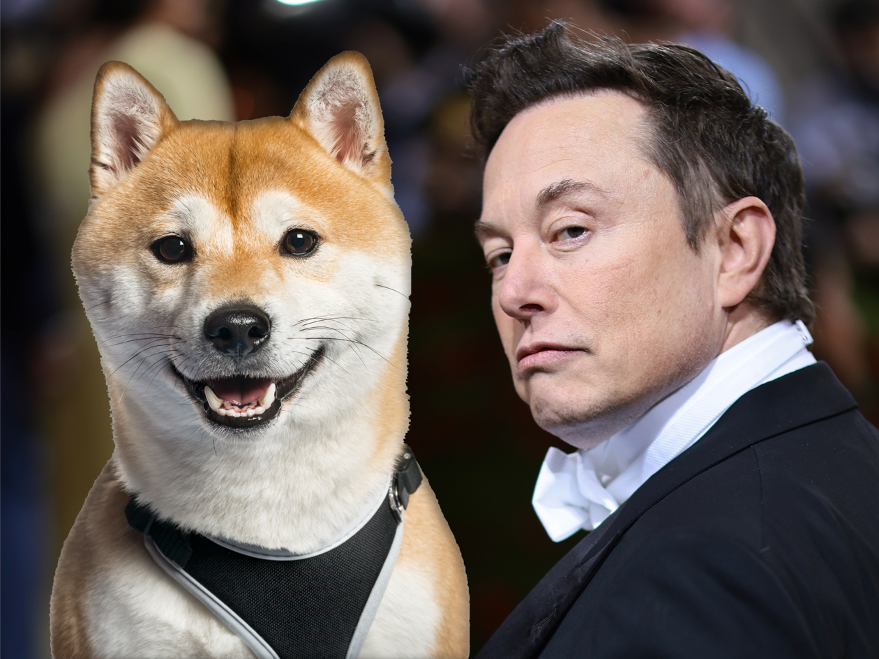 believeitornot!newceooftwitterisflokithepetdogofelonmusk