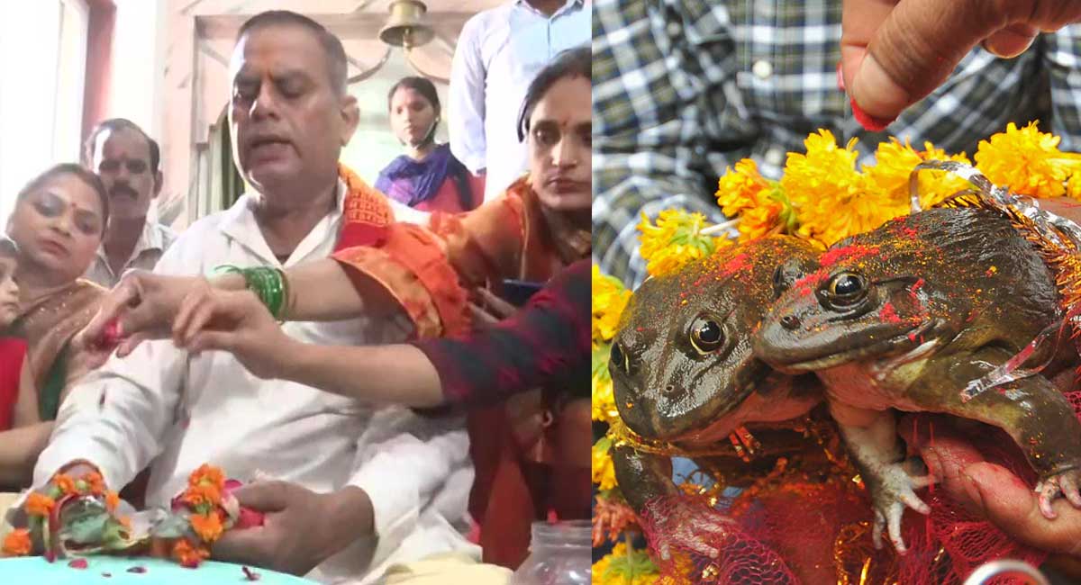 frogsmarriedingorakhpurtoappeaseraingod