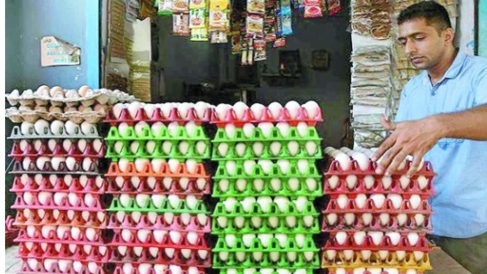 Egg prices fall sharply as Iran-Israel conflict hits exports