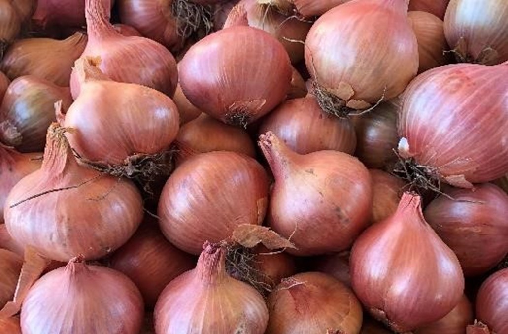 onionpricessurgeinhyderabad