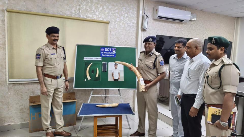 Man Smuggles Elephant Tusks Worth Crores from Seshachalam, Held
