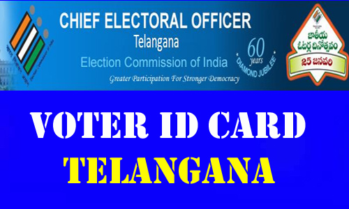 verificationofnewvoters
