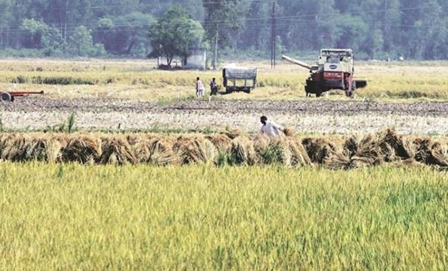 telanganastateemergedasthericebowlofindia:cmkcr