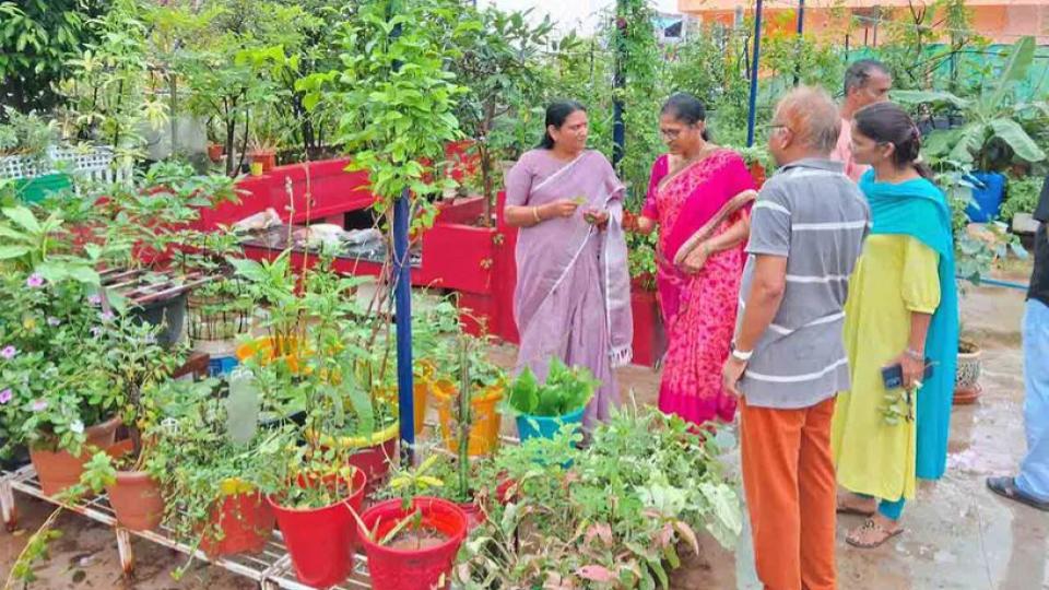 farmonterracedoctorcoupleinsiddipetgrows800plantsathome