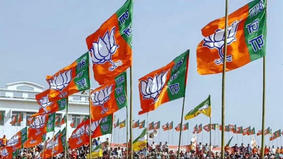 loksabhapolls2024bjpannounces9candidatesintelangana