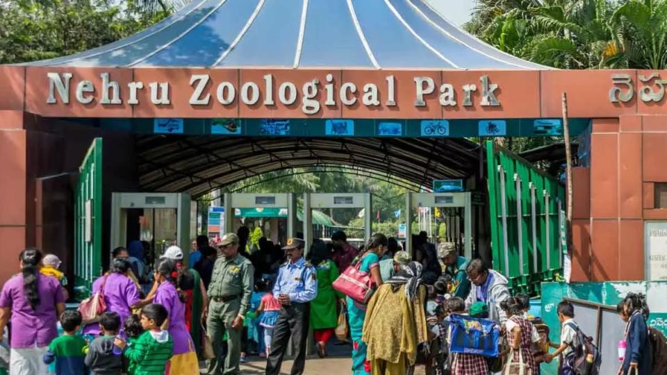 nehruzoologicalparkannouncessummercampforchildren