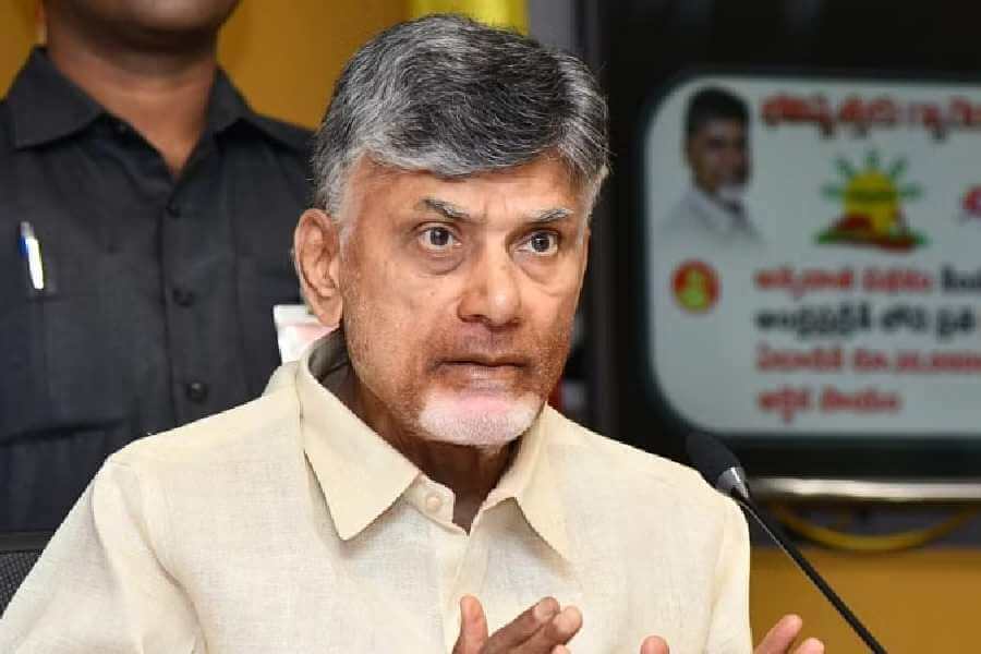 telugudesamwillregainitspastgloryintelangana:naidu