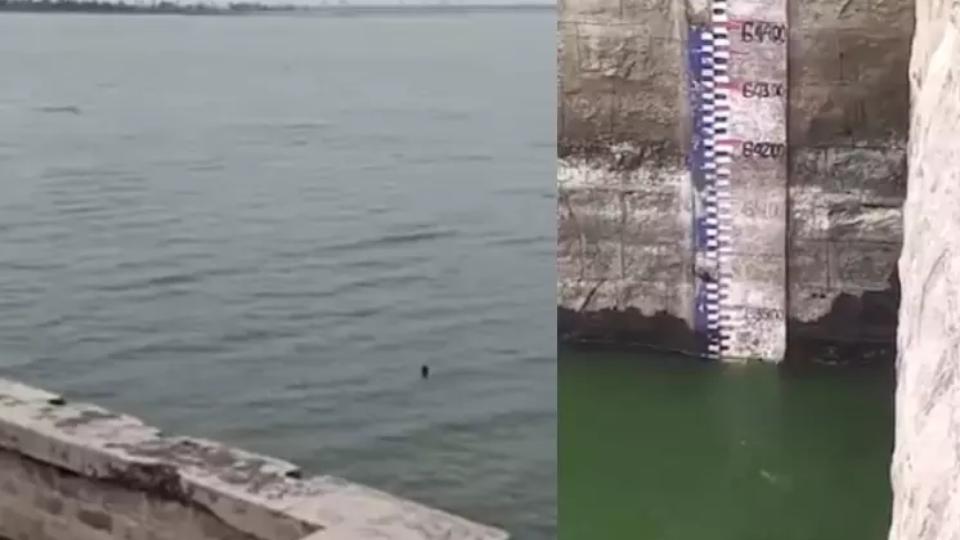 Musi Reservoir Sees Heavy Inflows, Gates May Be Opened
