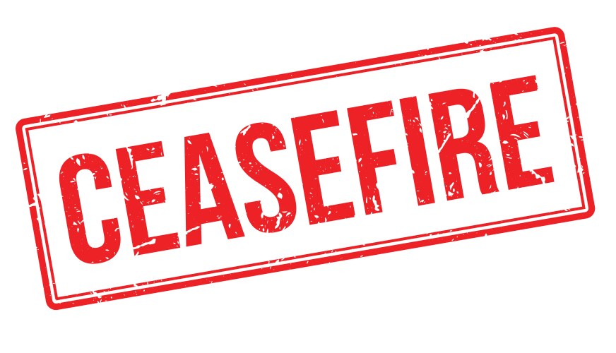 Maoist Telangana State Committee announces six-month ceasefire