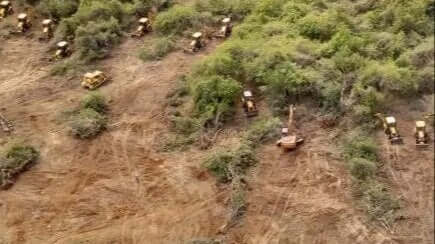 kanchagachibowli:formerbureaucratsaskforprotectionofforestsbiodiversity