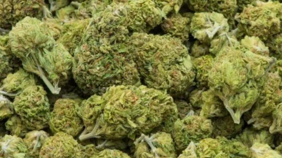 Two arrested with 200 grams of ganja in Yadadri Bhuvanagiri