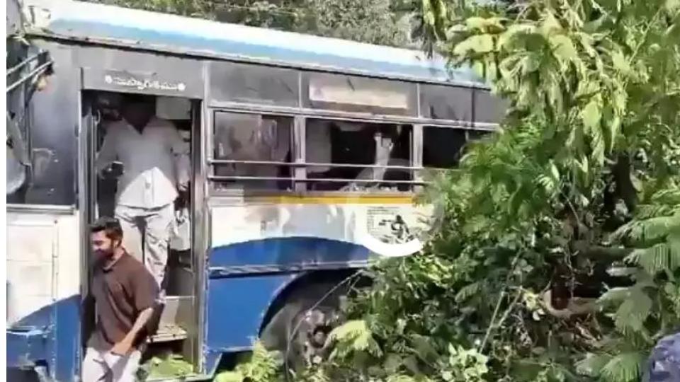 Tree Falls On TSRTC Bus in Hanamkonda, Two Bikes and Three Autos Damaged