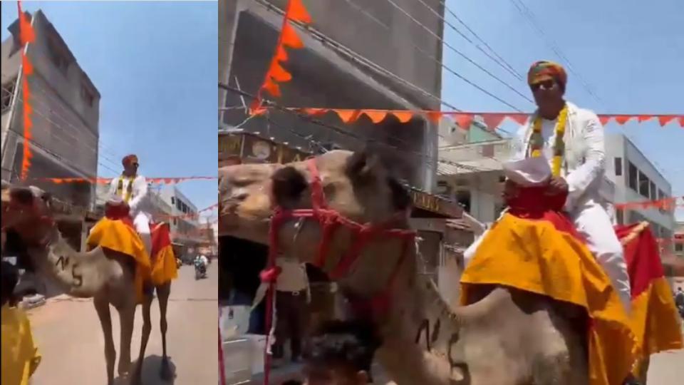 video-of-independent-candidate-from-hyderabad-rides-camel-to-file-nomination