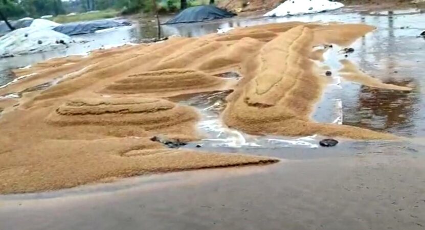Telangana Government to Buy Paddy Damaged in Rain at MSP