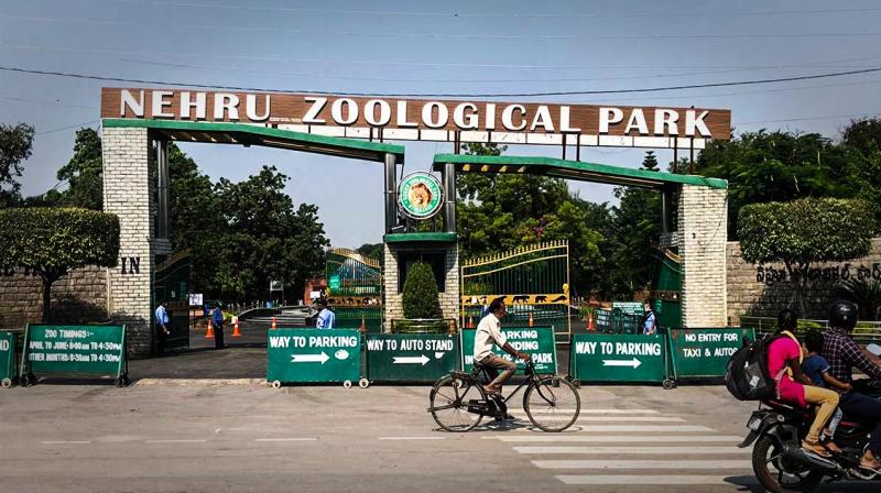 30000visitorsatnehruzooparkonsunday