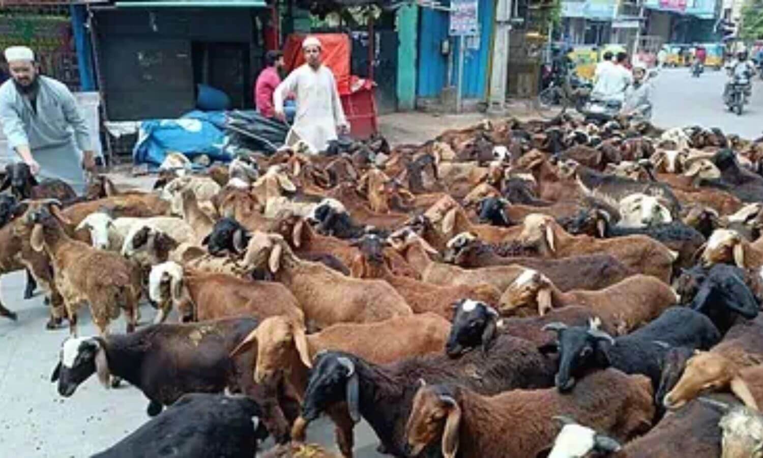 Hyderabad’s Bakri Eid Qurbani goes digital as families opt for online sacrifice