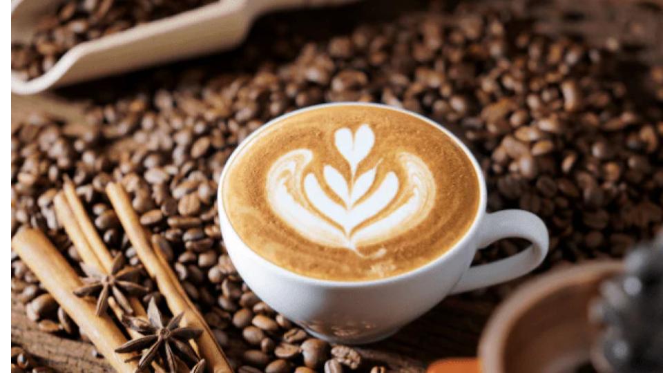 Hyderabad to Host Cofee Festival on March 14 and 15