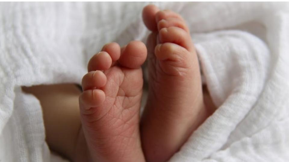 Infant body found in a dustbin of Area Hospital in Zaheerabad