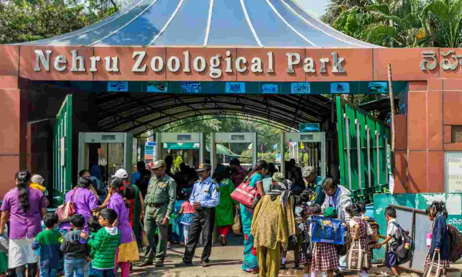 Huge crowds thrill at Nehru Zoo as summer vacation nears end