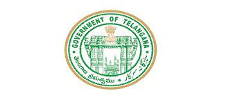 telanganastategovtconstitutestatesecuritycommission