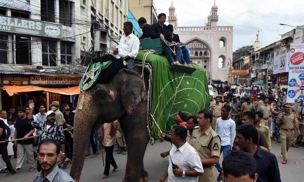petaoffersmechanicalelephantsforbonalumuharramprocessionsinhyderabad