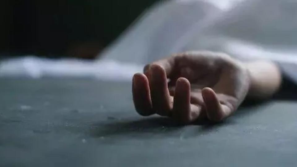 Minor Boy Dies After Being Kicked by Horse in Warangal