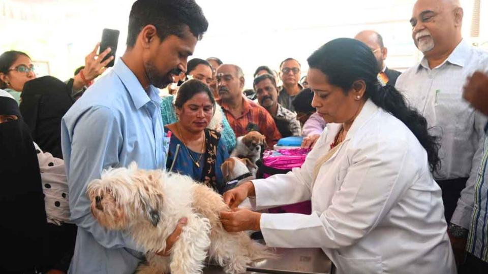 Free Pet Vaccination Drive Held In Hyderabad 