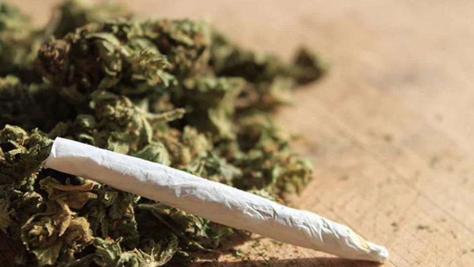 Woman caught smuggling marijuana of Rs 3 crore at RGI Airport