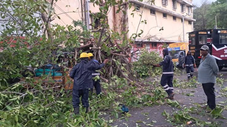 HYDRAA teams clear waterlogging, fallen trees after heavy rain
