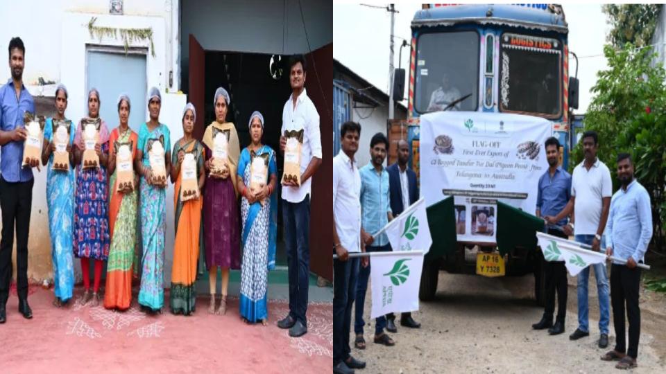GI-tagged Tandur Tur Dal Exported to Australia for 1st Time