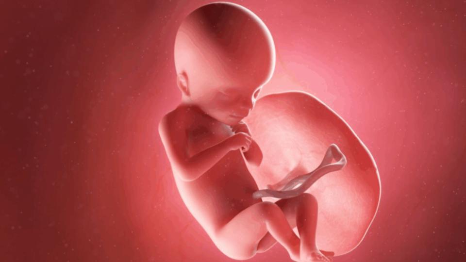 Inter student gives birth to dead foetus during exam in Kothagudem