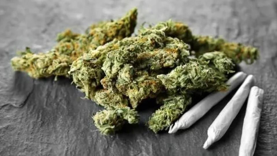 Two arrested with 1.2 kg ganja in Golconda