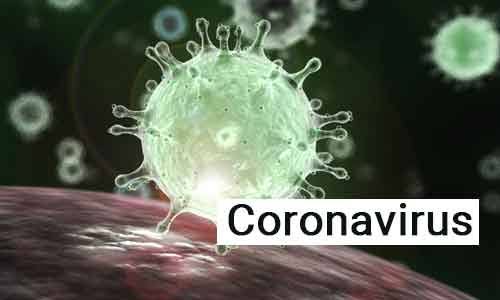 coronavirus:telanganahealthofficialsonhighalert