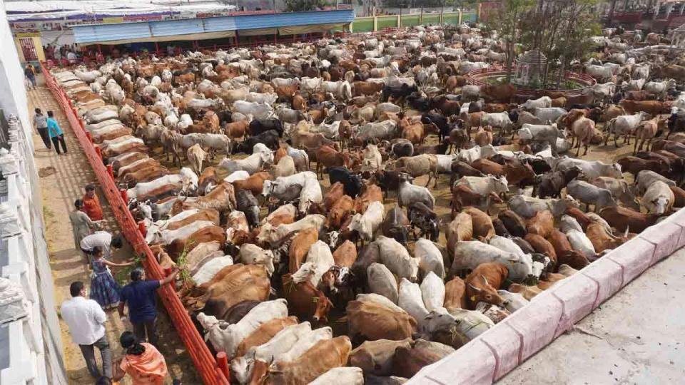 satyamshivamsundaramgaunivasinhyderabadmarks25years