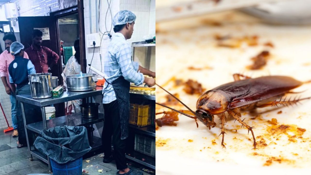 Cockroaches, rat faeces found as TG SAFE acts against 11 Hyderabad eateries