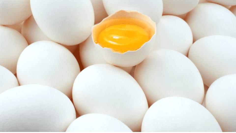 BRS exposes Rs 600 crore scam for eggs in Gurukul contracts