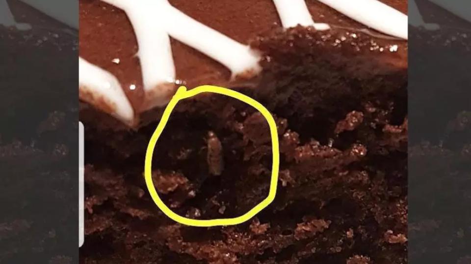 bingebashsealedforcakeinfestedwithinsectsinmadhapur