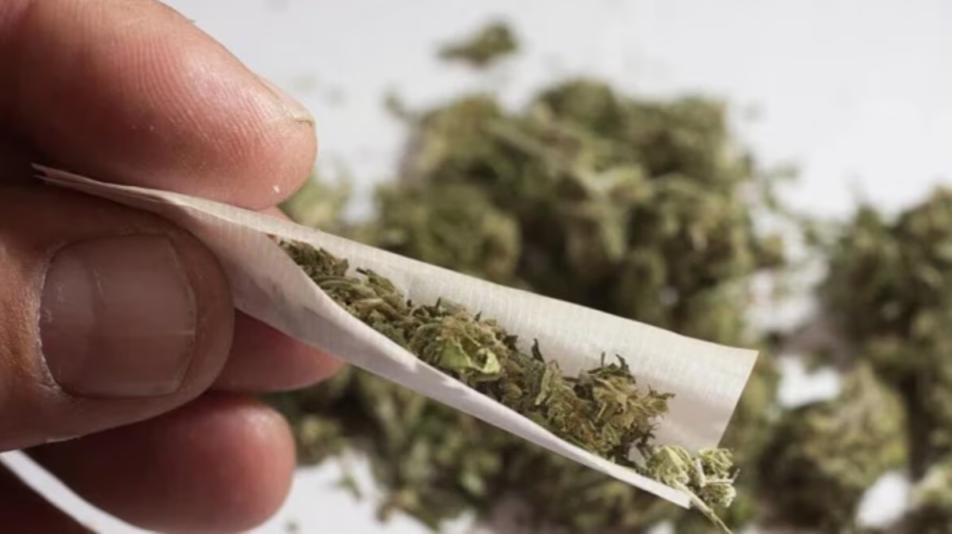 Task Force arrested minor boy with 48 kg marijuana in Nampally