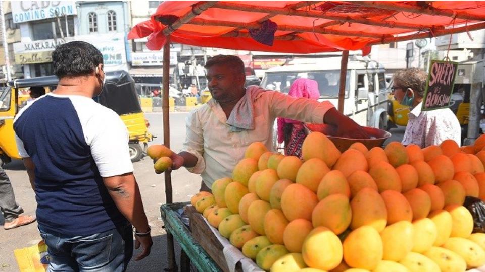 mangoesarriveinhyderabadmarkets