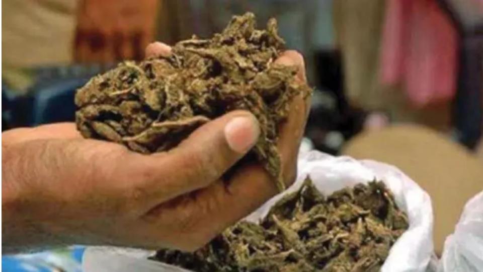 Police arrest two people with 18 kg ganja in Hyderabad