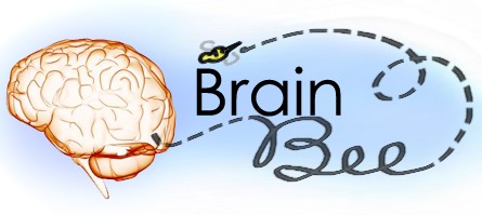 hyderabadgirlwins‘brainbee’regionalcompetition