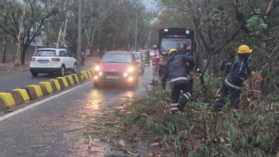 Thunderstorms lash Hyderabad, trees uprooted across city
